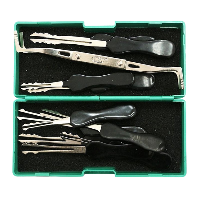 Juego de Ganzúas Goso de Doble Cara (11 piezas)