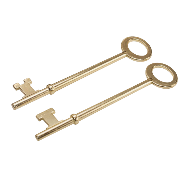 Juego de Ganzúas para Cerraduras Antiguas – Llaves Maestras (Skeleton Keys)